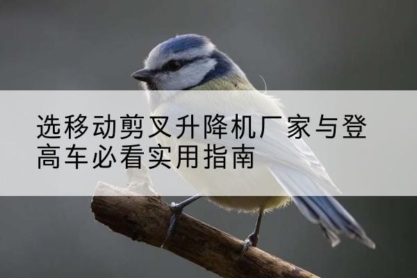 东区电动升降机厂家-选移动剪叉升降机厂家与登高车必看实用指南