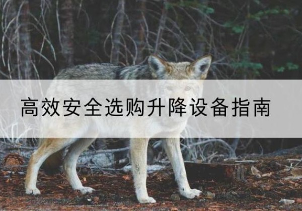 东区升降货梯厂家推荐-*安全选购升降设备指南