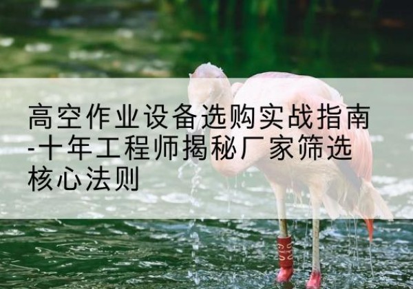 东区剪叉式升降机厂家-高空作业设备选购实战指南-十年工程师揭秘厂家筛选核心法则